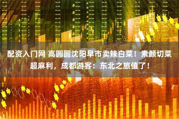 配资入门网 高圆圆沈阳早市卖辣白菜！素颜切菜超麻利，成都游客：东北之旅值了！