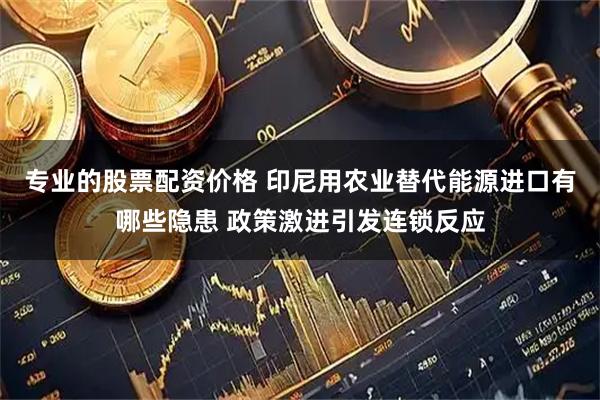 专业的股票配资价格 印尼用农业替代能源进口有哪些隐患 政策激进引发连锁反应